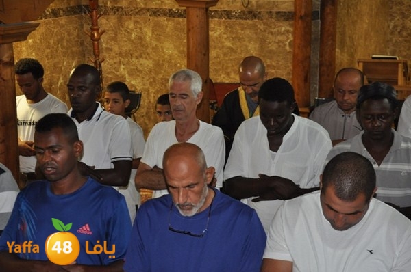 trawe7 mahmodiya 713 (48).JPG